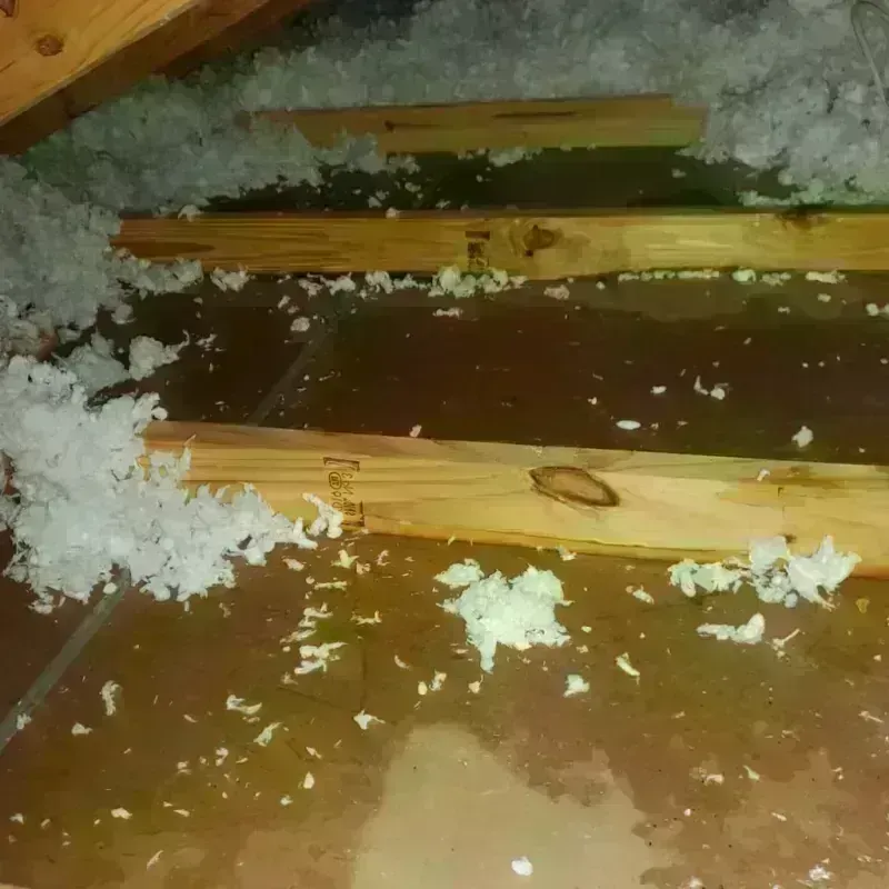 Attic Water Damage in Cloud County, KS