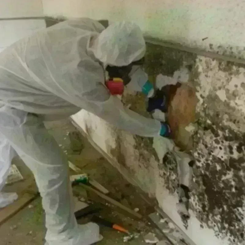 Mold Remediation and Removal in Cloud County, KS