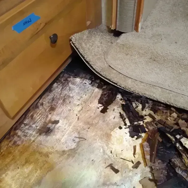 Best Wood Floor Water Damage Service in Cloud County, KS